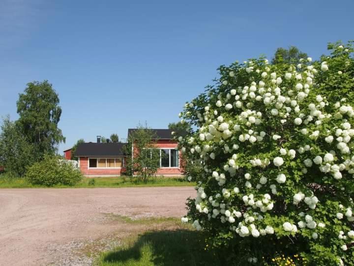 B&B Villa Helmi Ala-Temmes Exterior foto